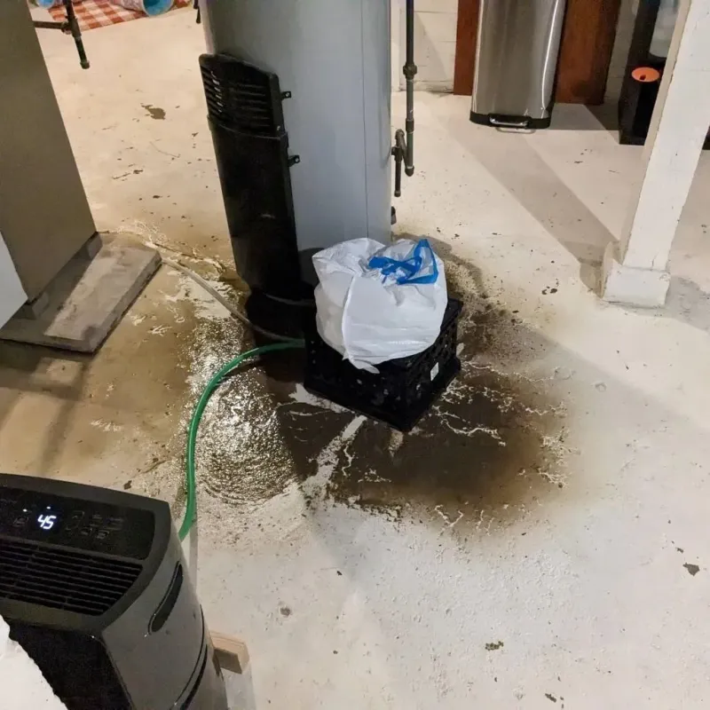 Sewage Backup Cleanup Service in Strongsville, OH